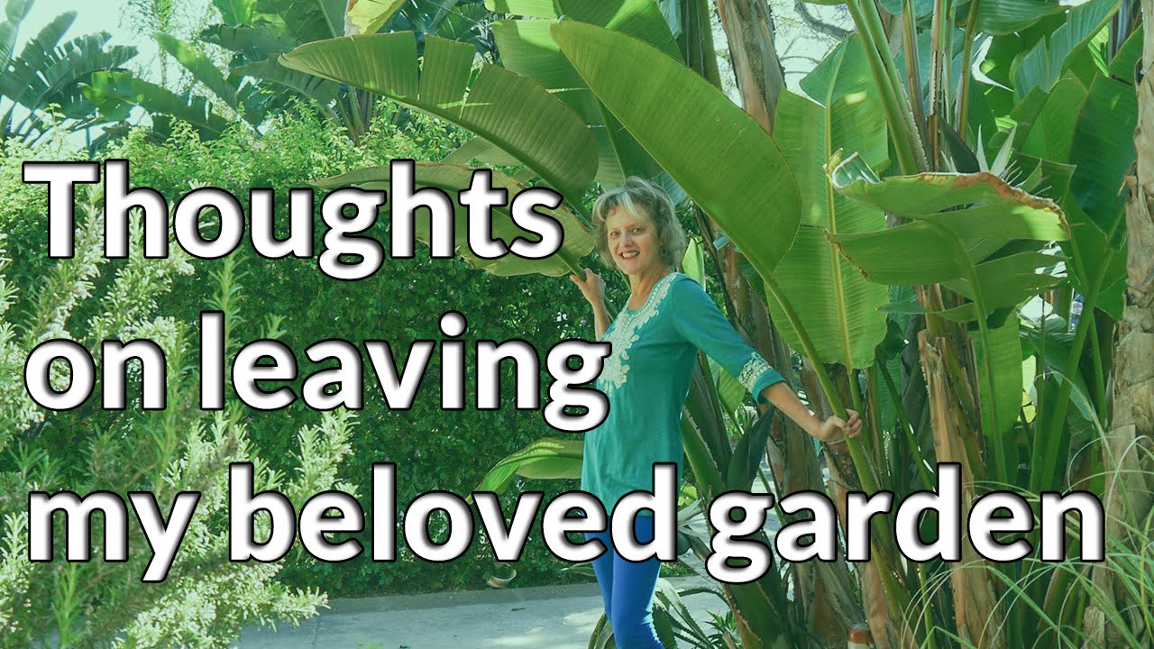 loving a garden I'm Moving: Thoughts On Leaving My Beloved Garden