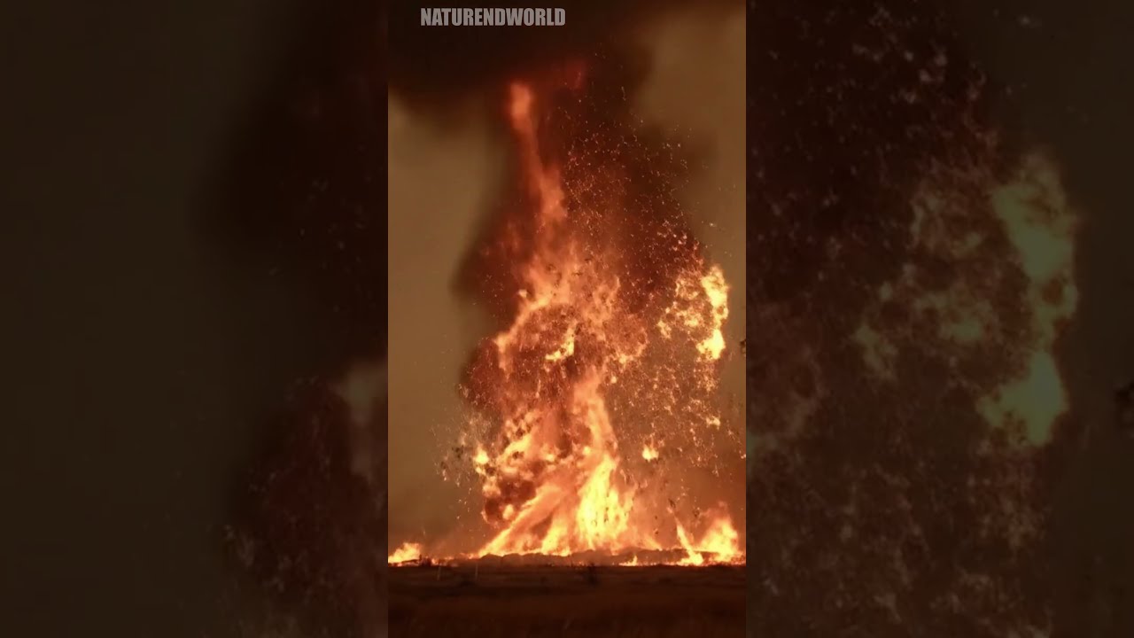 This Is How A FIRE TORNADO Looks Like 