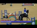 Pyecombe Horse Show - Class 13 - National Accumulator