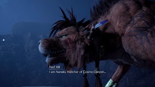 Nanaki, Son of Seto 🦁 FF7 Rebirth 🦁 4K HDR