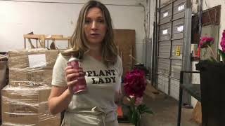 Transform Your Blooms with Design Master Floral Spray Paint! 🌸✨ -Design Master Colortool Spray Paint
