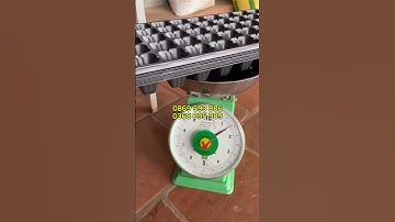 Khay bầu ươm cây giống nhựa đen cứng siêu tiện lợi, siêu bền, giá rẻ. Các bác dùng nhiều 0869593886