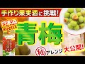 日本酒で！果実酒に挑戦。基本の梅酒とアレンジアイデア