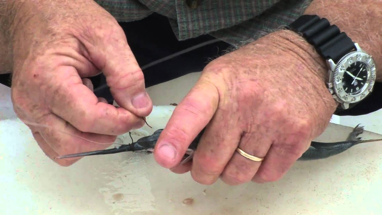 RIGGING DOLPHIN FISHING BAITS/LURES IN THE FLORIDA KEYS YouTube