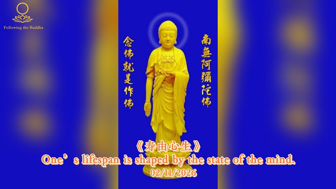 《寿由心生》#佛法感悟  #诗偈 #禅意生活 #佛法人生 #偈颂