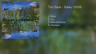 Tim Sane - Kaiku (Full EP)