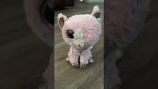 My beanie boo collection