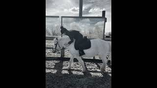Saying goodbye to her yesterday was the hardest thing I’ve ever done 💔 || credits to @equinekatie