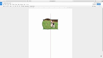 Adding Text and Image in Google Photos and Google Docs