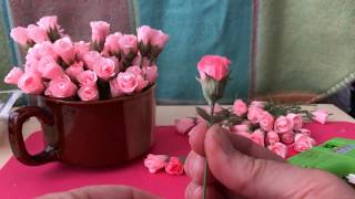 Mini Crepe Paper Rose Buds