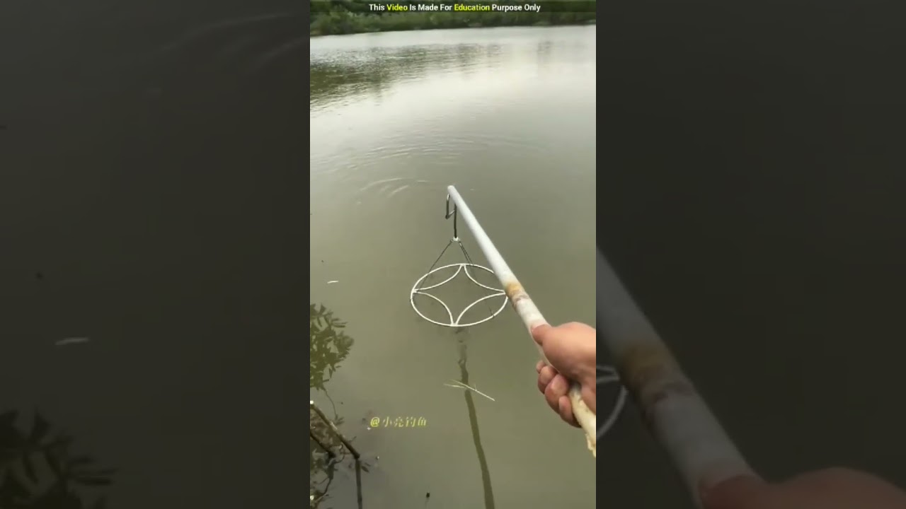 Look at the Chinese people's fishing brain 😱