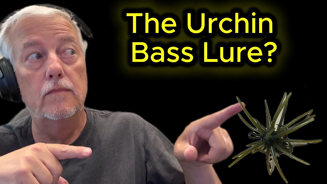 The Hottest Bait In Bass Fishing – Let's Try One