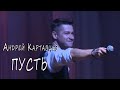 Андрей Картавцев - Пусть (концертное выступление)