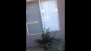17017 N 12th St #1125, Phoenix, AZ 85022