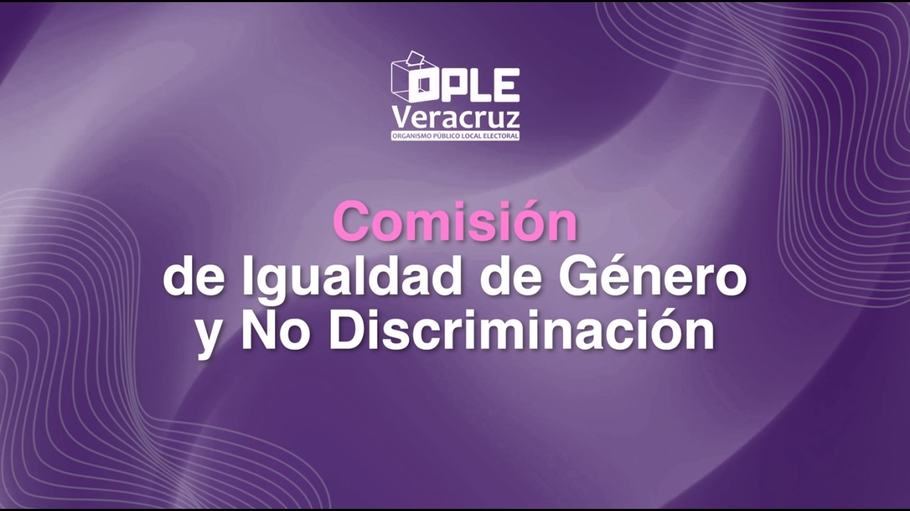Sesión de la Comisión de Igualdad de Género y No Discriminación