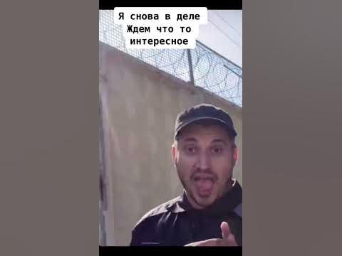 Давайте думать мем паша техник