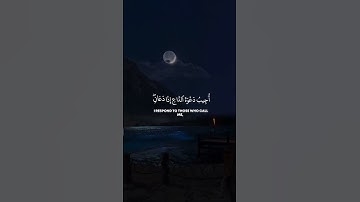 راحة نفسية❤️✨حالات واتس اب قران/مقاطع دينية قصيرة آيات قرانية/ستوريات انستا#قرآن_كريم