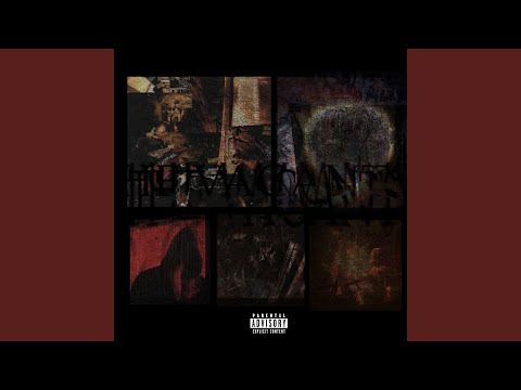 The Vacants