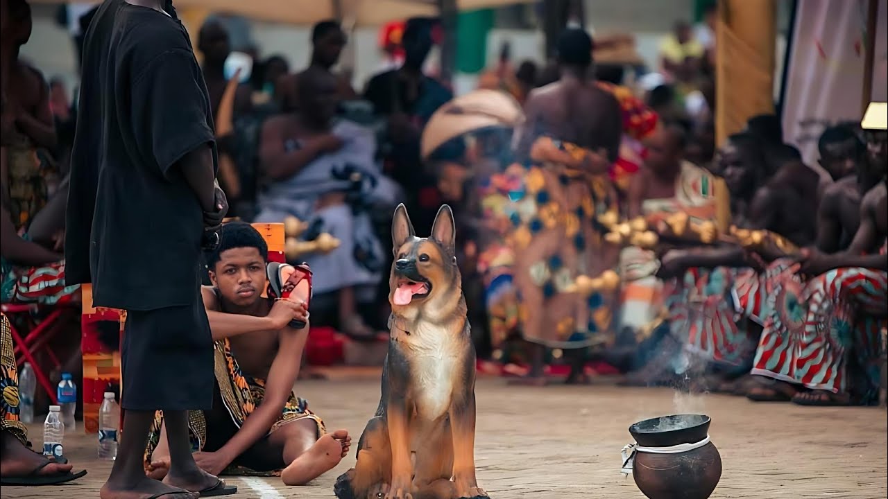 Authentic ADUANA History 🔥🐕