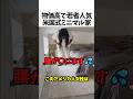 米国で人気なタイニーハウス🏠