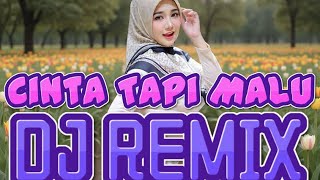 CINTA TAPI MALU - DJ REMIX