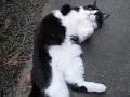 おかえり、じゃあ行ってきます