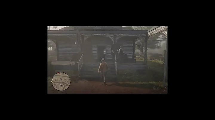 RDR2 - This Is Why Some People Shouldn't Own Guns.