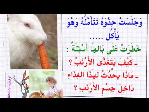 مسار الأغذي ة وتحو لها داخل الأنبوب الهضمي عند حيوان عاشب