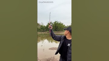 Câu lure cá lóc bằng 1 tay #Lkhoà #câulure #caulurecaloc