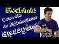 Cours de biochimie: Régulation du métabolisme du glycogène