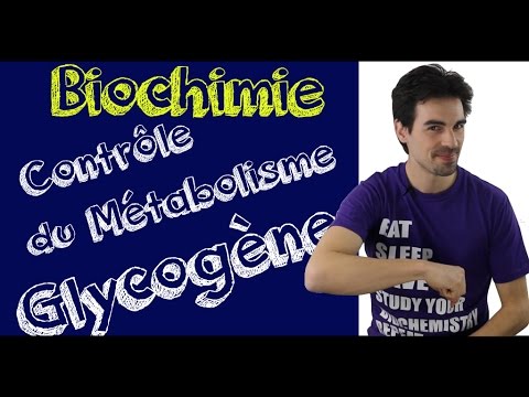 Vidéo: Comment restaurer le glycogène (avec des images)