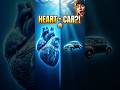 🐋 🚗 whale ka heart=car #shortsviral #interestingfact #shortvideo 🚗