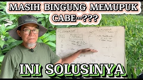 MEMAHAMI CARA PEMUPUKAN CABE