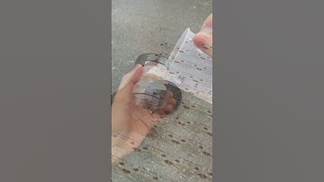 THIẾT KẾ & IN TEM NHÃN CHẤT LƯỢNG TẠI VŨNG TÀU #shorts #thietketemnhan #intemnhan