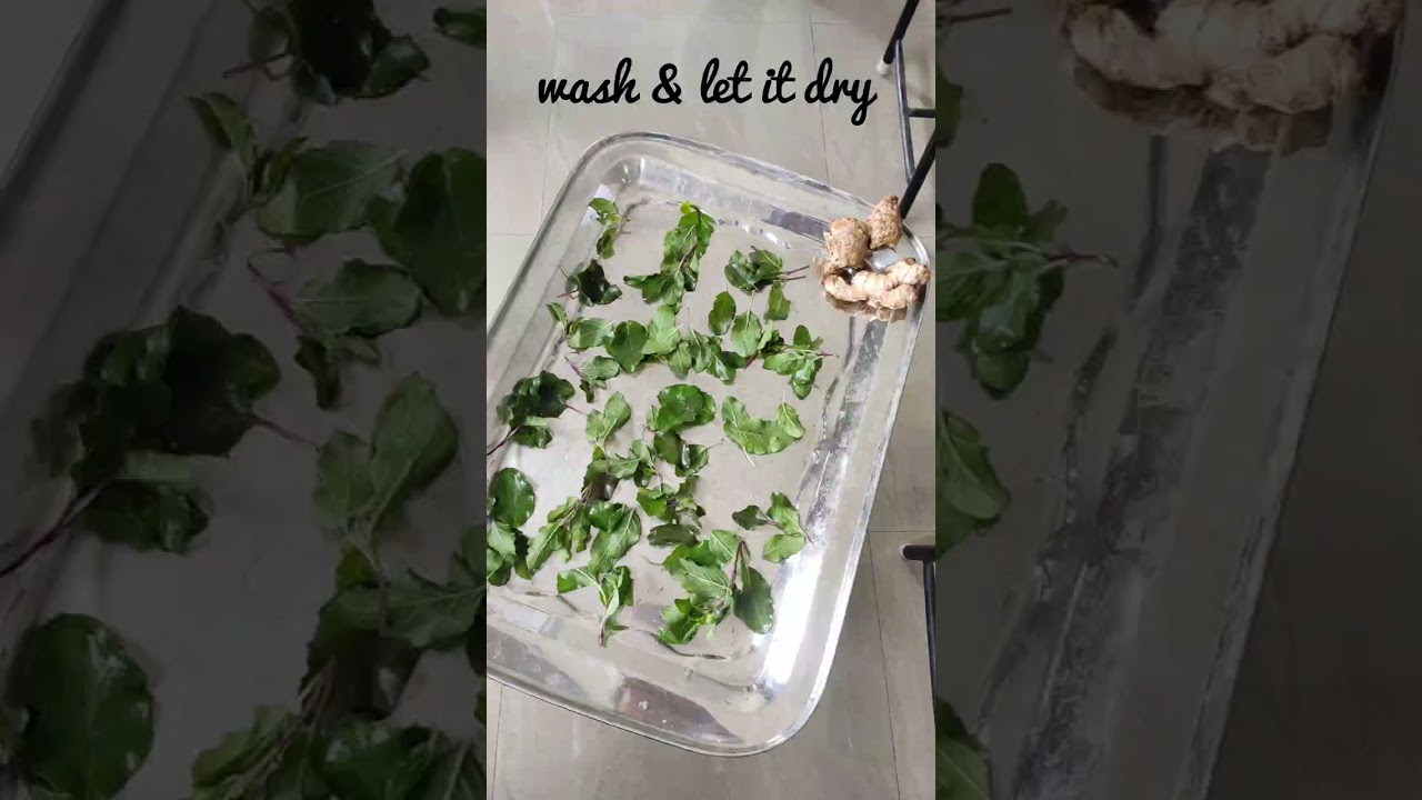 Making Tulsi Swaras | Bams | 2 year | Ras sastra practical.