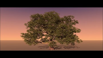 SpeedTree Modeling