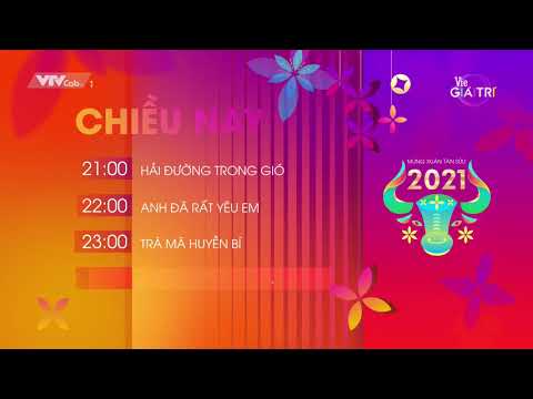 Video [HD 1080p] VTVCab 1 - Vie Giải Trí HD - GTCT CHIỀU NAY... - youtube
