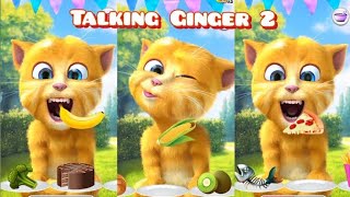 😽😽Ginger2😻||😻My Ginger😺||Tom||Tom2😼||celebrate birthday🎉🍜||😼enjoy food🥘😸||😸Funny🤣||😽Android🐱||Vairal