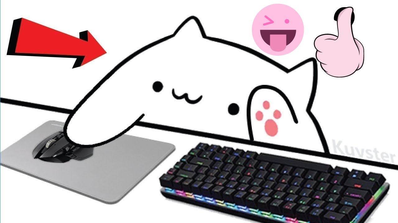 Bongo Cat Cam installieren und ausführen/Deutsch YouTube