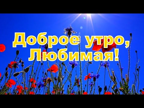 Доброе утро, Любимая! Удачного дня!