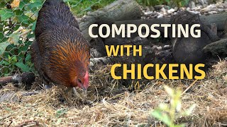 Features of our Permaculture Chicken Pen and Compost Area by Manuel Angerer - Temperate Climate Permaculture 355,859 views 1 year ago 8 minutes, 31 seconds