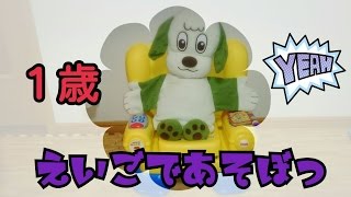 わんわん いないいないばあ 英語 レッスン 子供  Fisher Price　わんわん