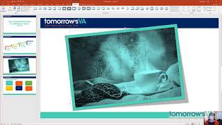 How to style pictures in PowerPoint 2016 for Windows