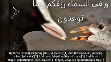 آيات بينات - Ramdan 2020(25/30) - Surah Al Dharyat