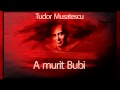 A murit Bubi (1978) - Tudor Musatescu