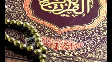 الشيخ علاء المزجاجي - سوره السجده