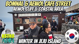 Bomnal & Aewol Cafe Street | Winter in Jeju Island Vlog 🇰🇷