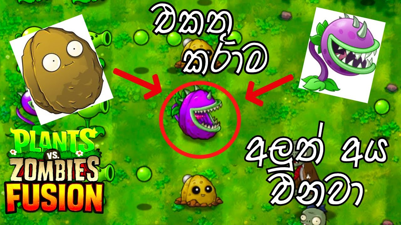අලුත් විදිහකට PLANTS VS ZOMBIES | sinhala gameplay