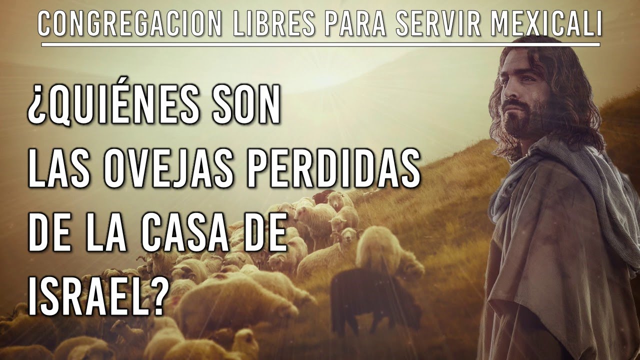 Ovejas Perdidas De La Casa De Israel