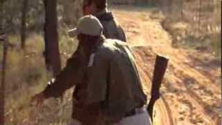 South Africa Experience: Wildlife & Safaris
